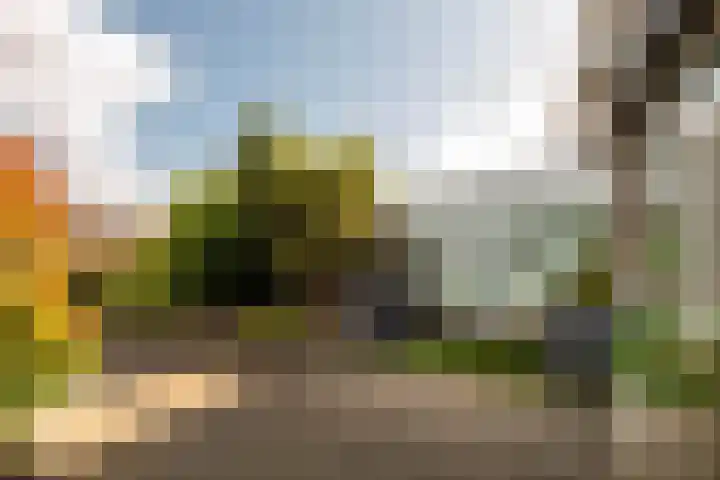Edward Jennerstraat 19 Hoogerheide thumbnail 27