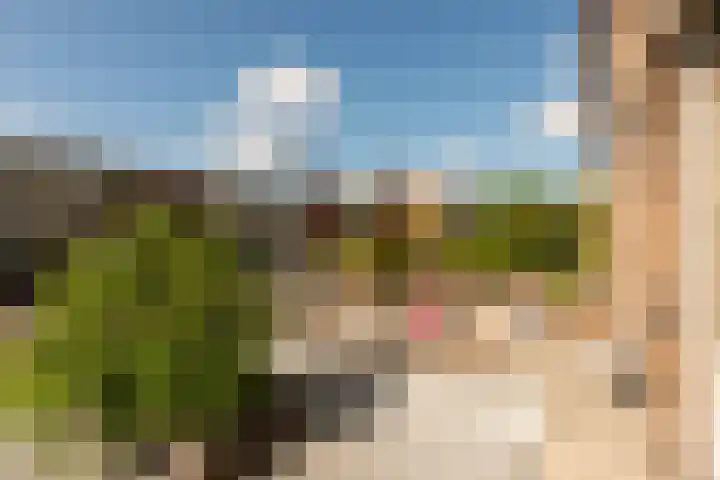 Edward Jennerstraat 19 Hoogerheide thumbnail 33