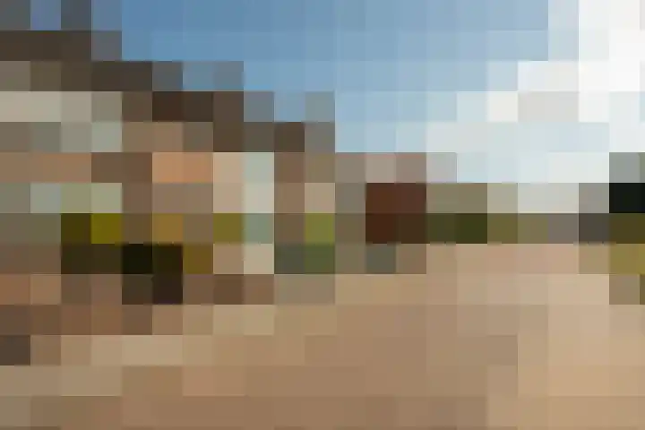 Edward Jennerstraat 19 Hoogerheide thumbnail 34