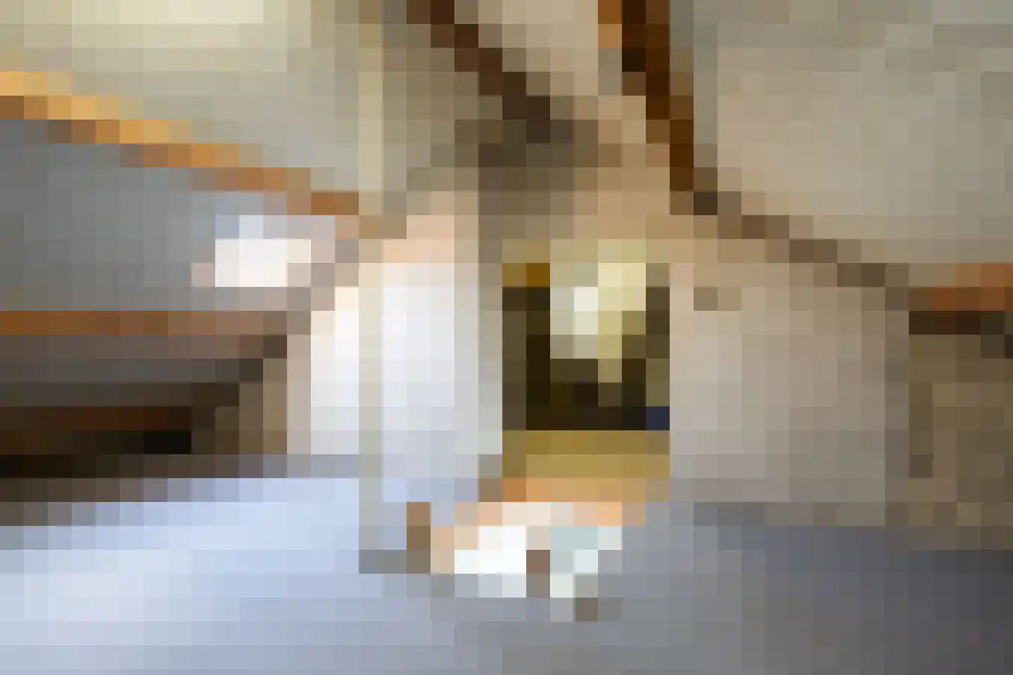 Edward Jennerstraat 31 Hoogerheide thumbnail 20