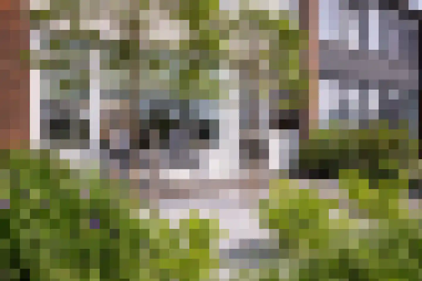 Edward Jennerstraat 31 Hoogerheide thumbnail 27