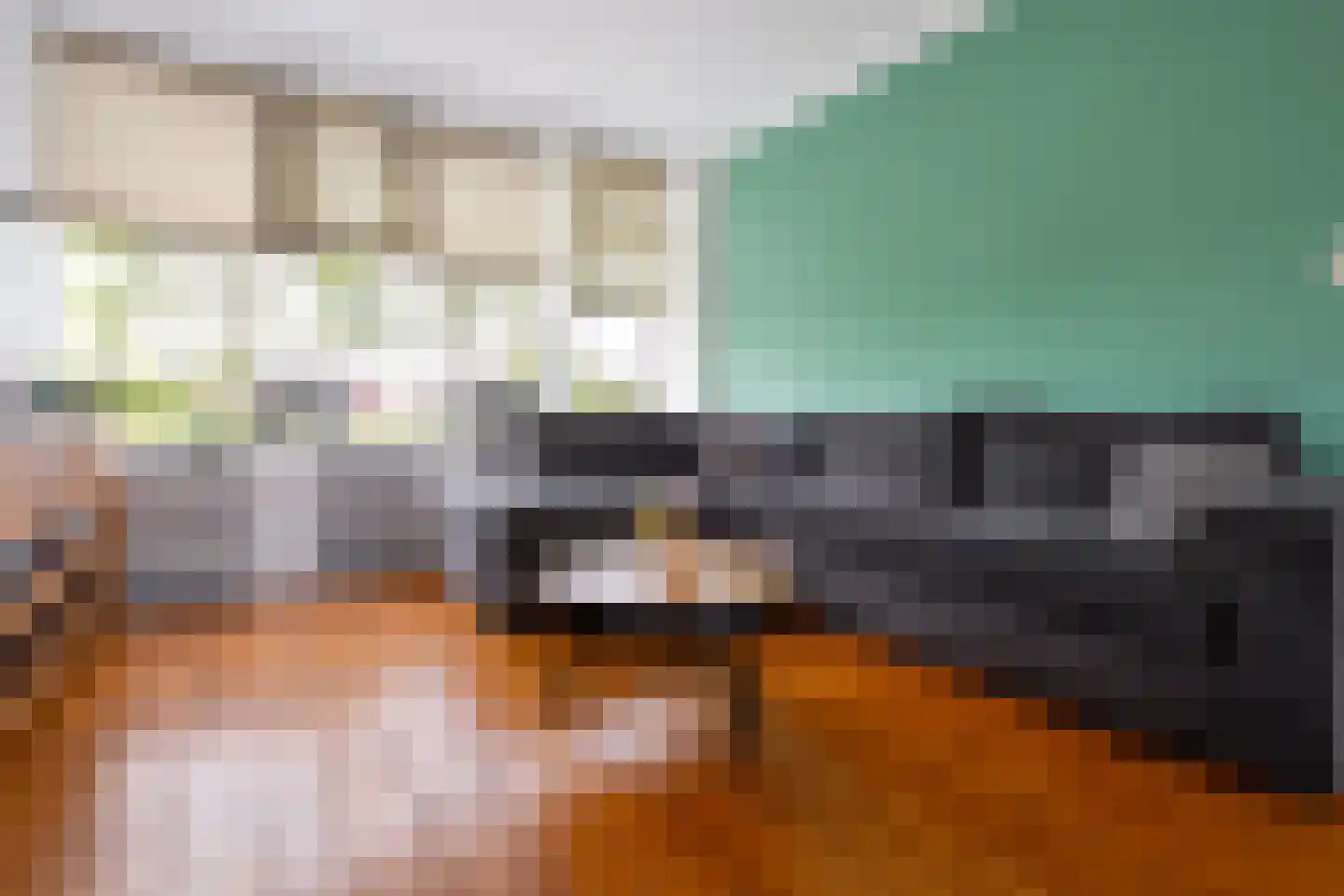 Edward Jennerstraat 31 Hoogerheide thumbnail 6