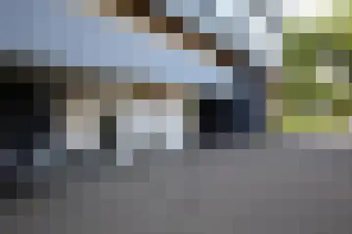 Edward Jennerstraat 392 Haarlem thumbnail 7