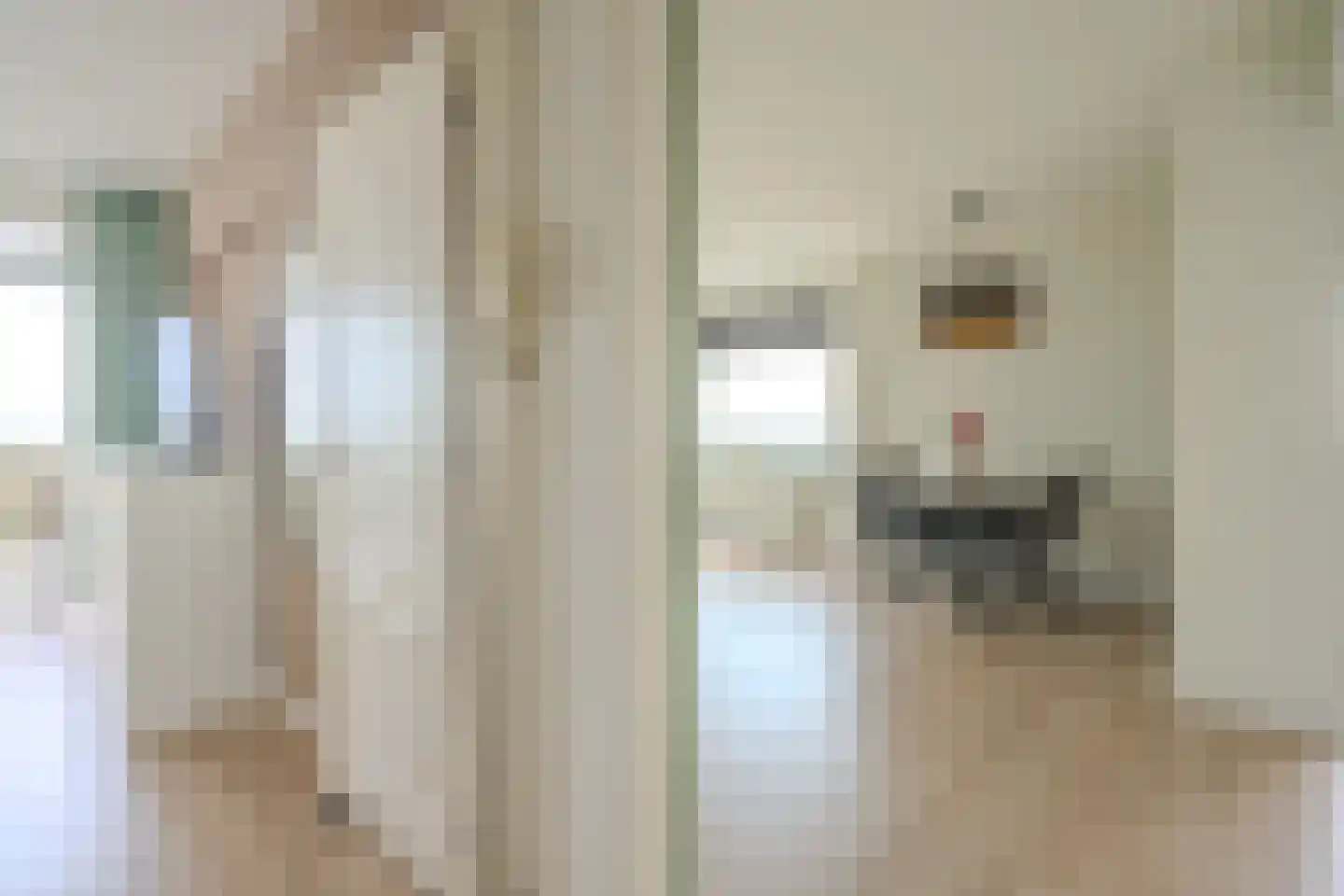 Edward Jennerstraat 408 Haarlem thumbnail 18