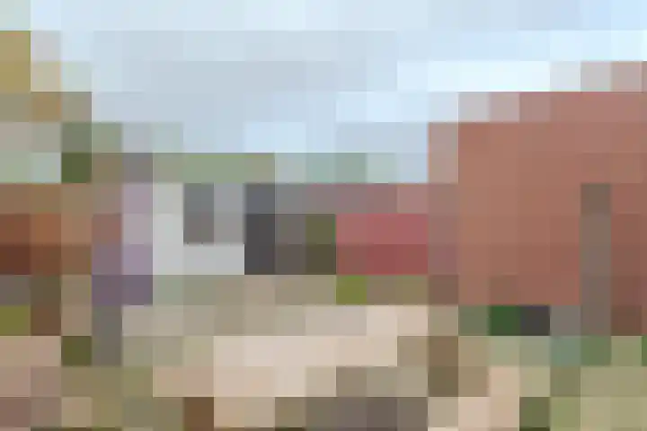 Edward Jennerstraat 43 Hoogerheide thumbnail 27