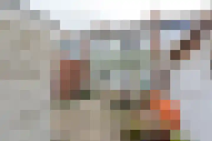 Edward Jennerstraat 43 Hoogerheide thumbnail 28