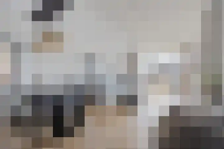 Edward Poppelaan 12 E Etten-Leur thumbnail 11