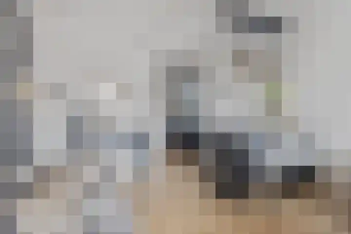 Edward Poppelaan 12 E Etten-Leur thumbnail 15