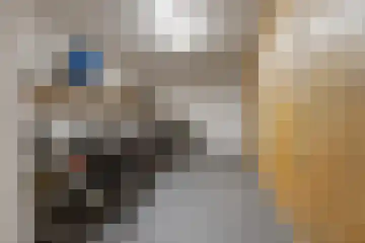 Edward Poppelaan 12 E Etten-Leur thumbnail 32