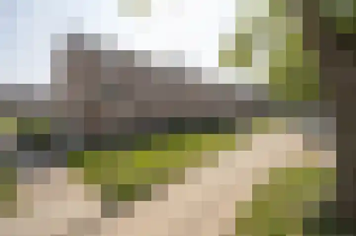 Edward Poppelaan 12 E Etten-Leur thumbnail 35