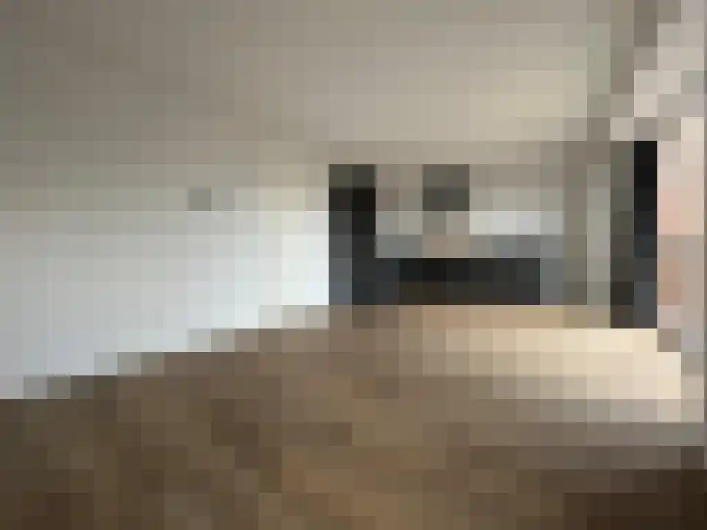 Edward Poppelaan 12 Etten-Leur thumbnail 4