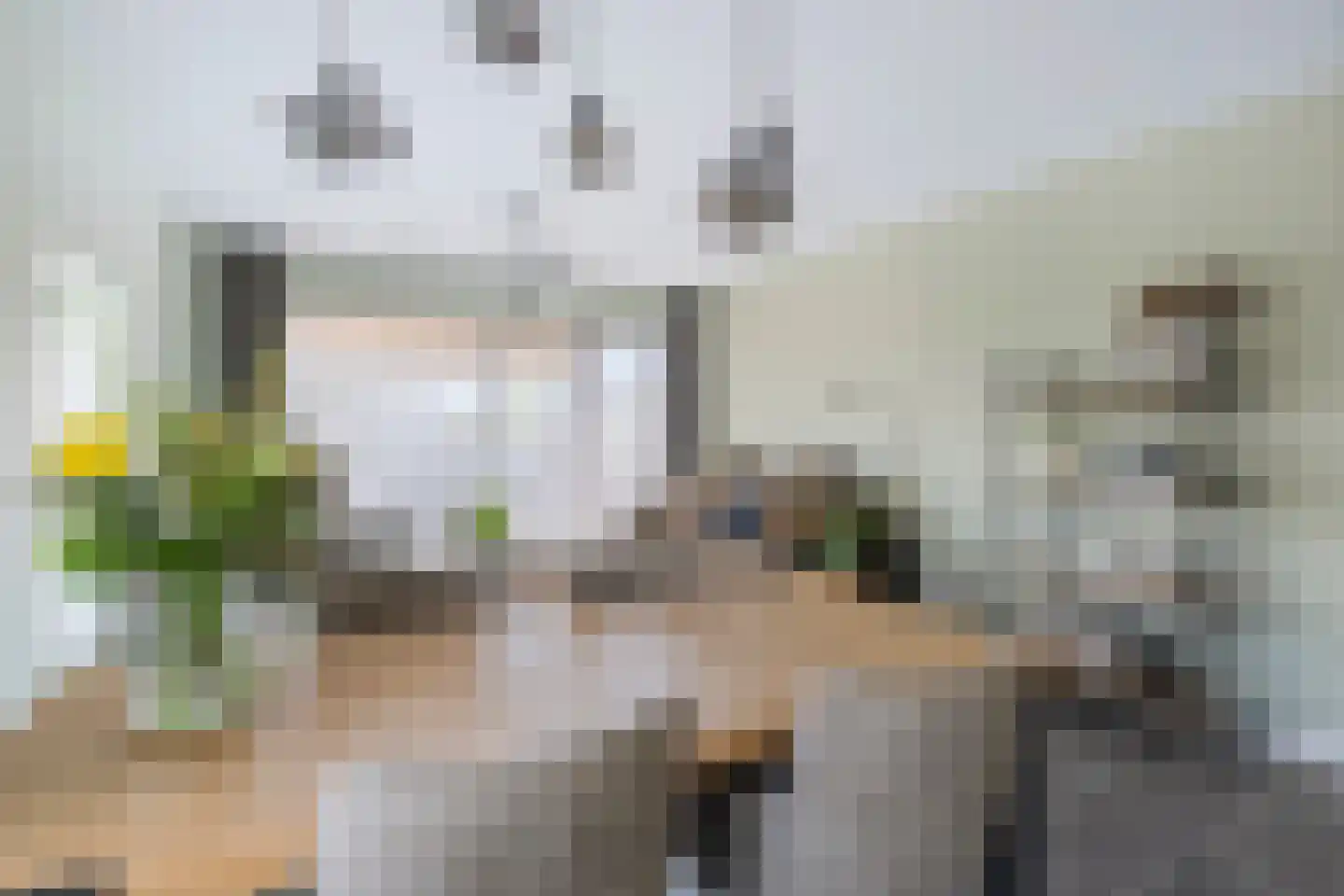Edward Poppelaan 12 M Etten-Leur thumbnail 15