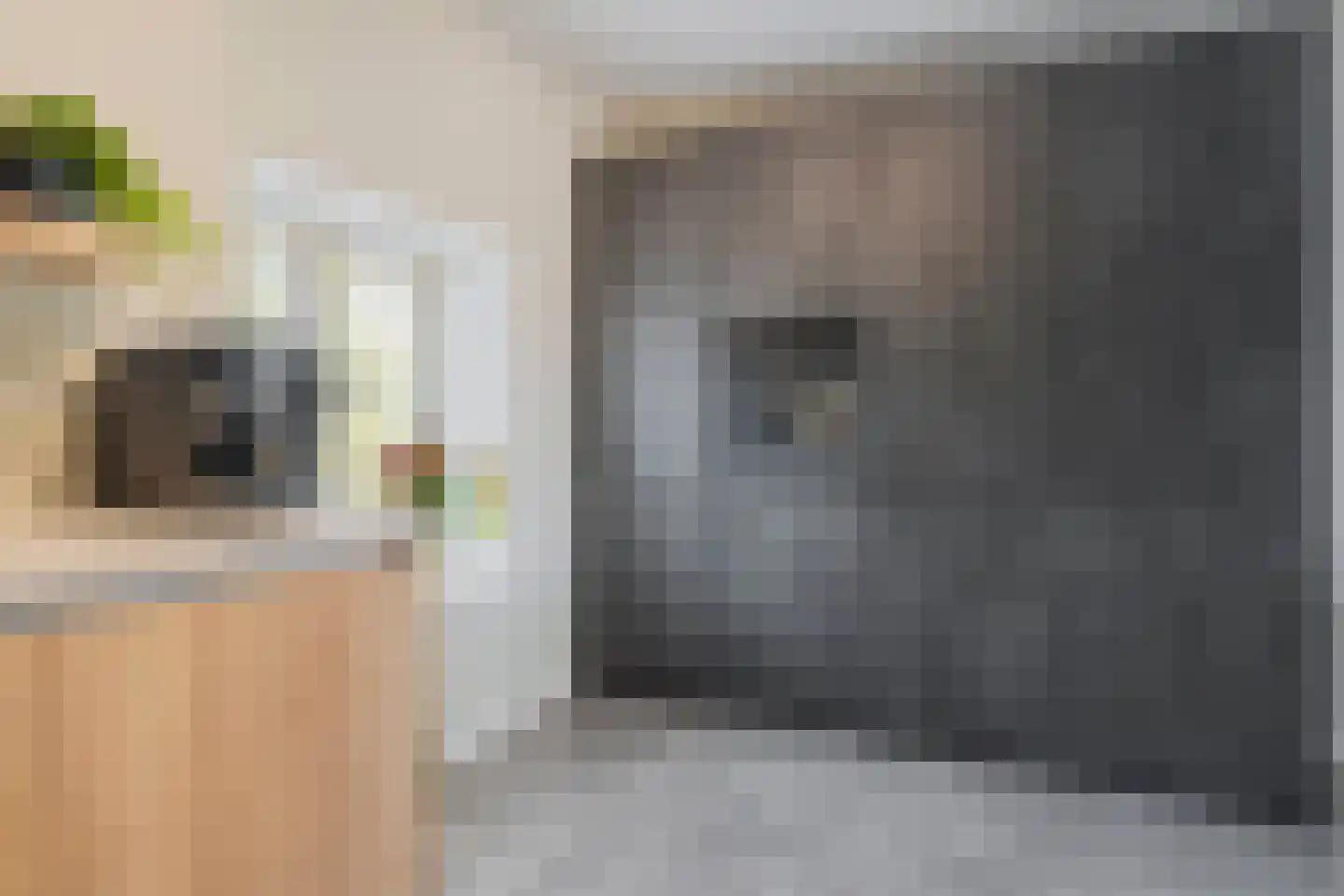 Edward Poppelaan 12 M Etten-Leur thumbnail 19