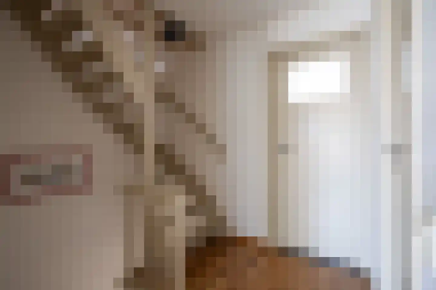 Edwin Aldrinstraat 9 Holtum thumbnail 13