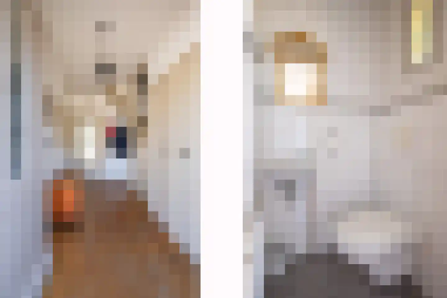 Edwin Aldrinstraat 9 Holtum thumbnail 4