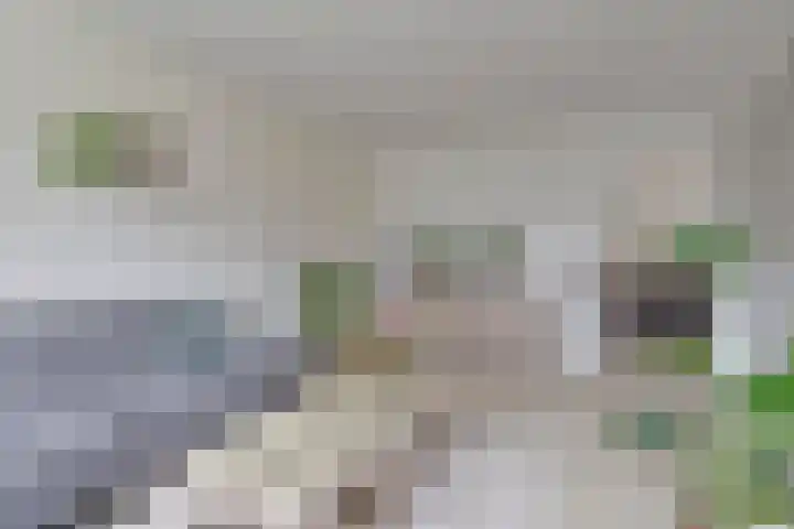 Edzemaheerd 3 Groningen thumbnail 10