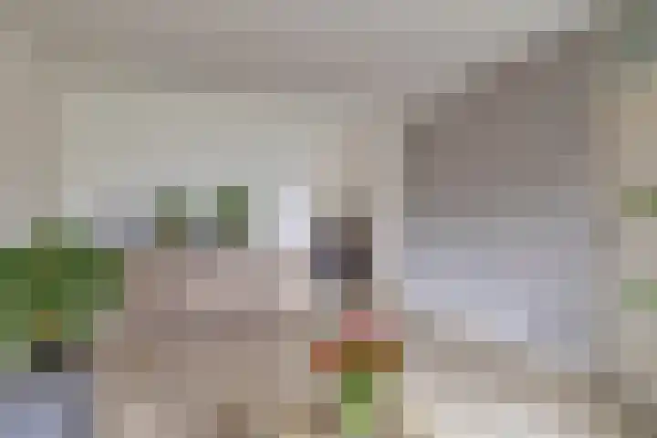 Edzemaheerd 3 Groningen thumbnail 11
