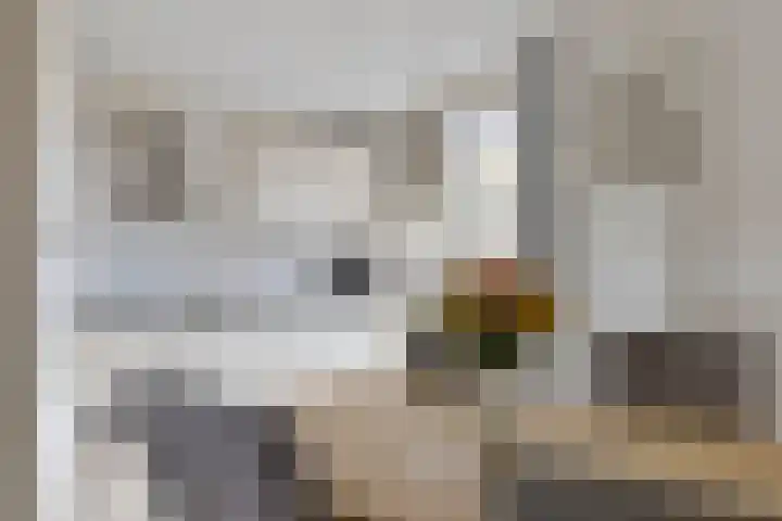 Edzemaheerd 3 Groningen thumbnail 13