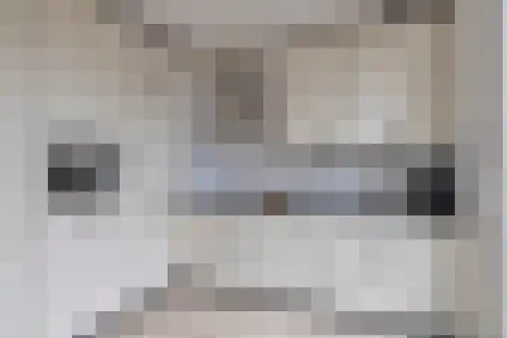 Edzemaheerd 3 Groningen thumbnail 14