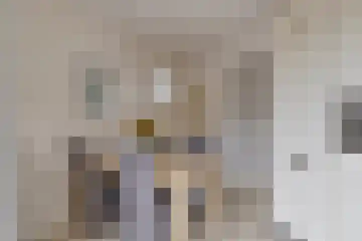 Edzemaheerd 3 Groningen thumbnail 16