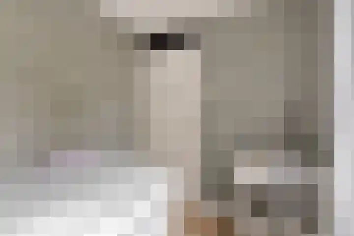 Edzemaheerd 3 Groningen thumbnail 23