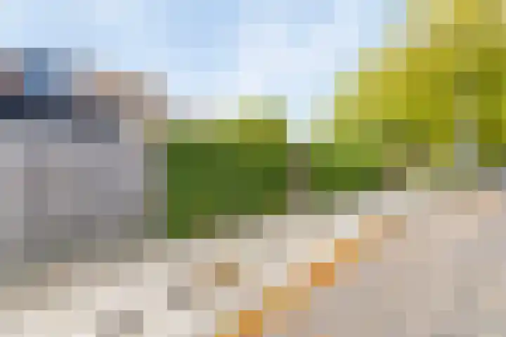 Edzemaheerd 3 Groningen thumbnail 28
