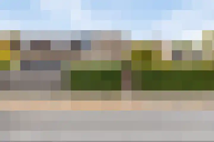 Edzemaheerd 3 Groningen thumbnail 29