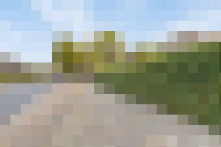 Edzemaheerd 3 Groningen thumbnail 30