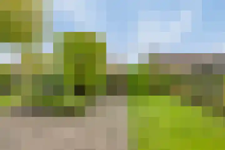 Edzemaheerd 3 Groningen thumbnail 31