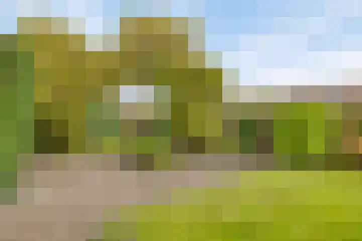 Edzemaheerd 3 Groningen thumbnail 32