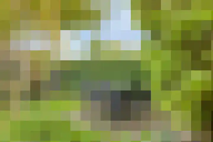 Edzemaheerd 3 Groningen thumbnail 33