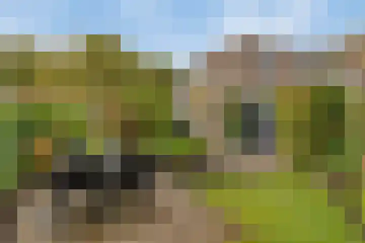 Edzemaheerd 3 Groningen thumbnail 34