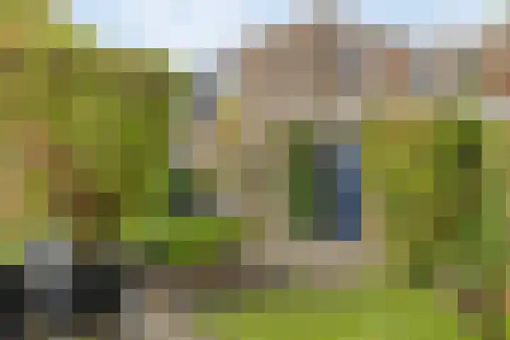 Edzemaheerd 3 Groningen thumbnail 35