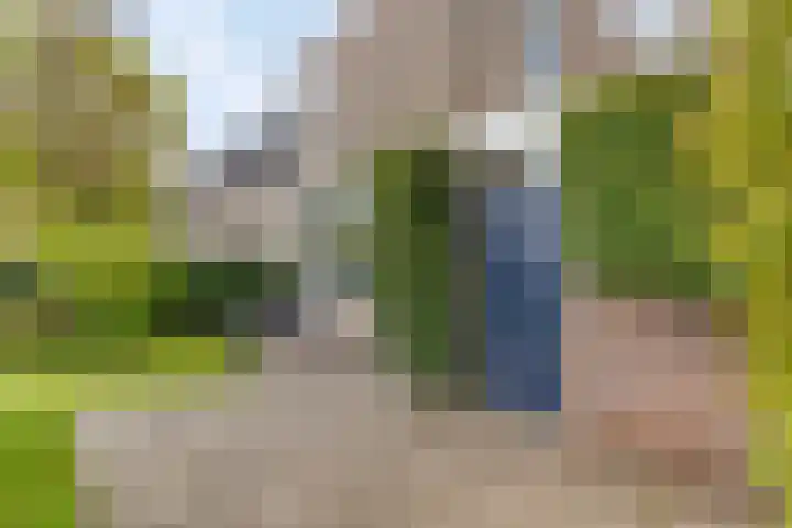 Edzemaheerd 3 Groningen thumbnail 36