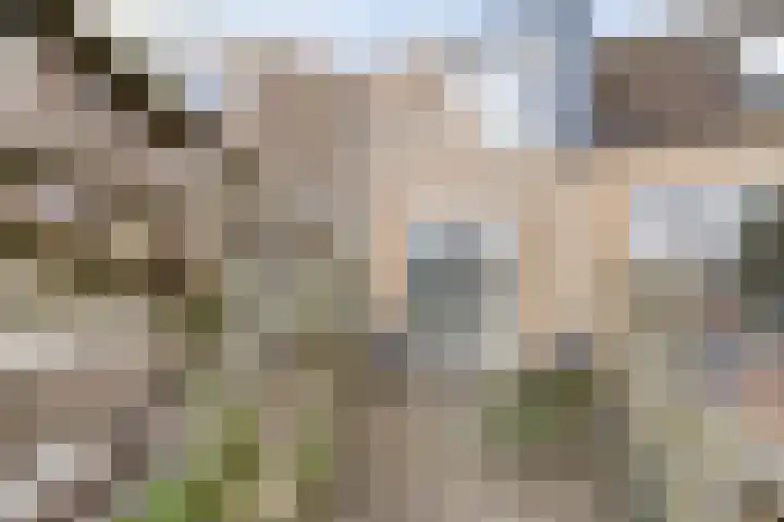 Edzemaheerd 3 Groningen thumbnail 39