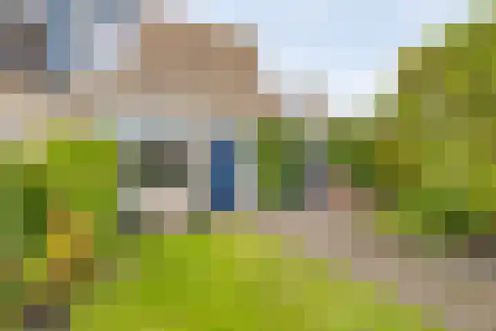 Edzemaheerd 3 Groningen thumbnail 4