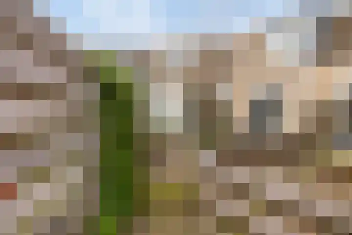 Edzemaheerd 3 Groningen thumbnail 40