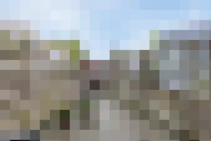Edzemaheerd 3 Groningen thumbnail 41