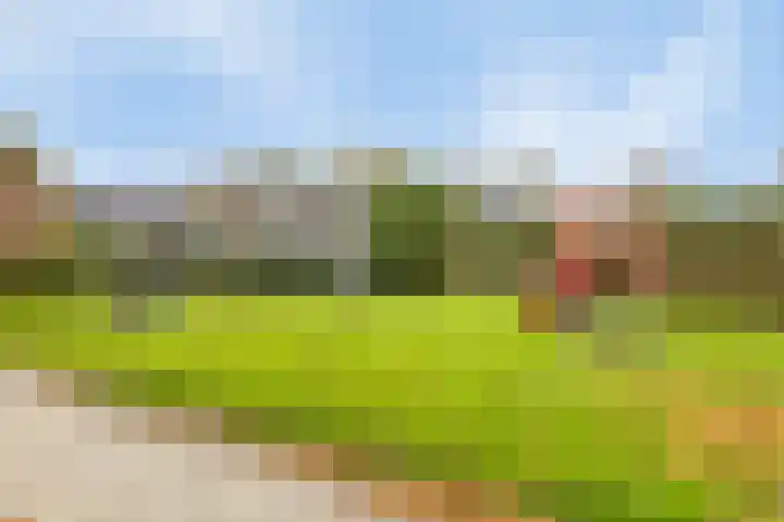 Edzemaheerd 3 Groningen thumbnail 42