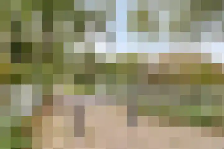 Edzemaheerd 3 Groningen thumbnail 43