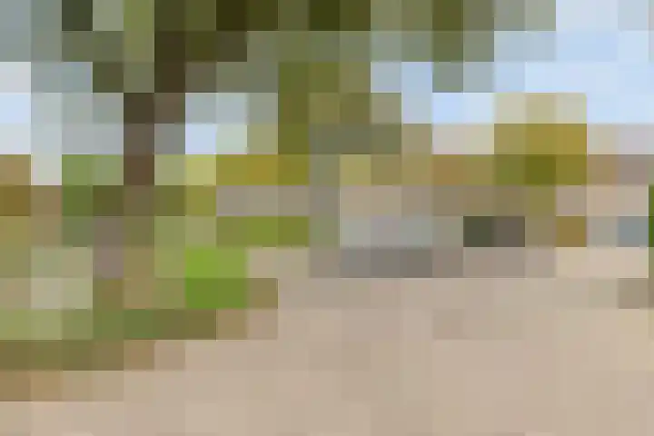 Edzemaheerd 3 Groningen thumbnail 44