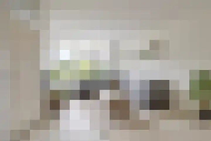 Edzemaheerd 3 Groningen thumbnail 7