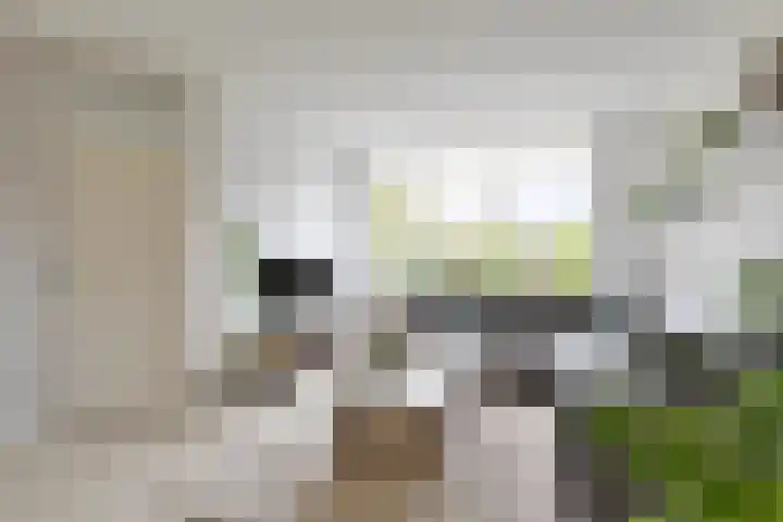 Edzemaheerd 3 Groningen thumbnail 9