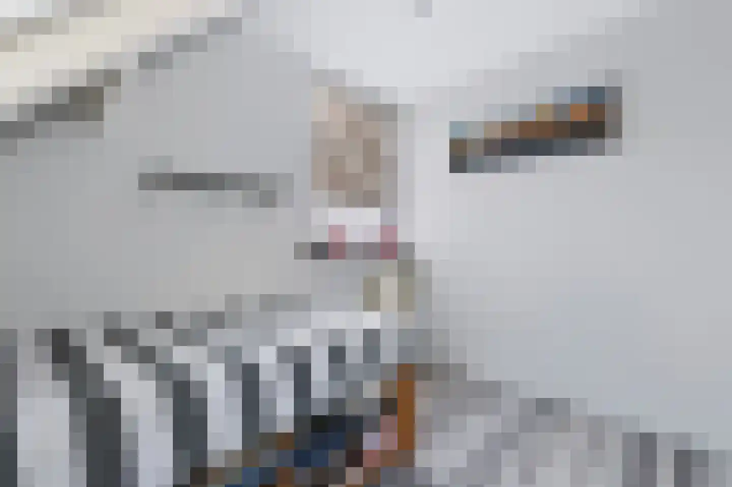 Edzemaheerd 37 Groningen thumbnail 15