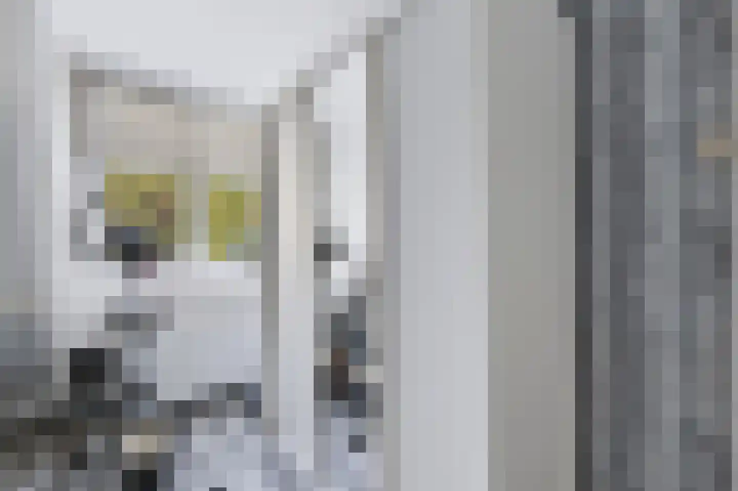 Edzemaheerd 37 Groningen thumbnail 16