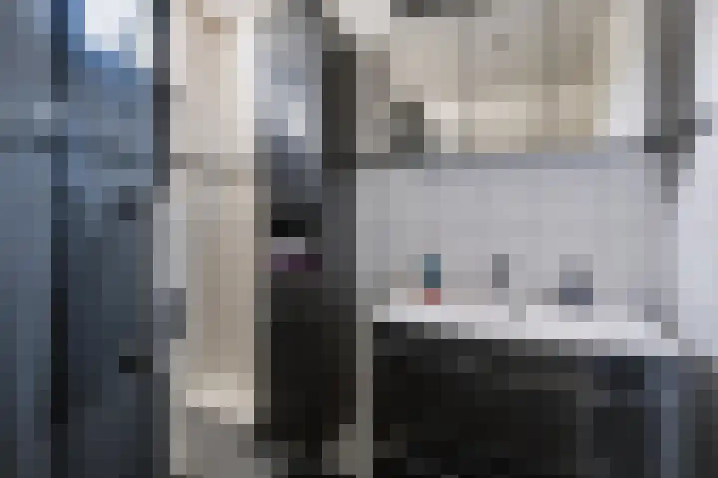 Edzemaheerd 37 Groningen thumbnail 17