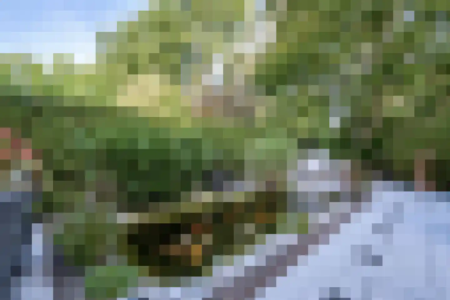 Edzemaheerd 37 Groningen thumbnail 23