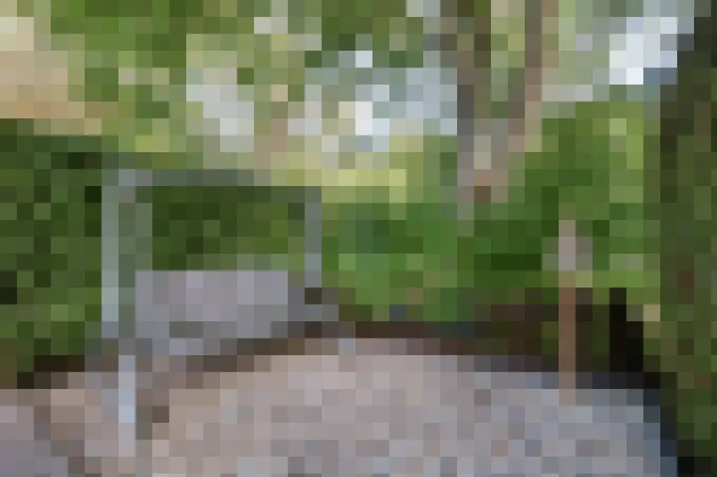Edzemaheerd 37 Groningen thumbnail 25