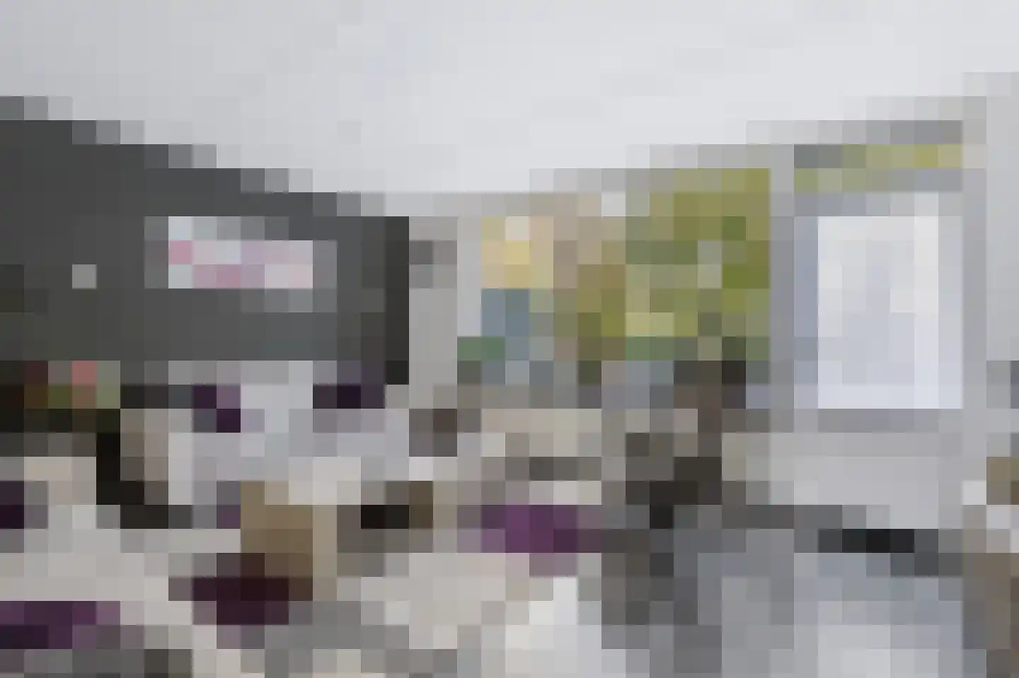 Edzemaheerd 37 Groningen thumbnail 5