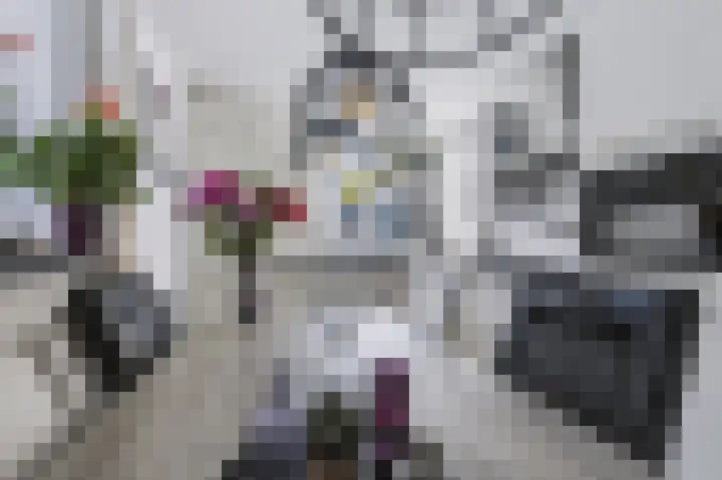 Edzemaheerd 37 Groningen thumbnail 8